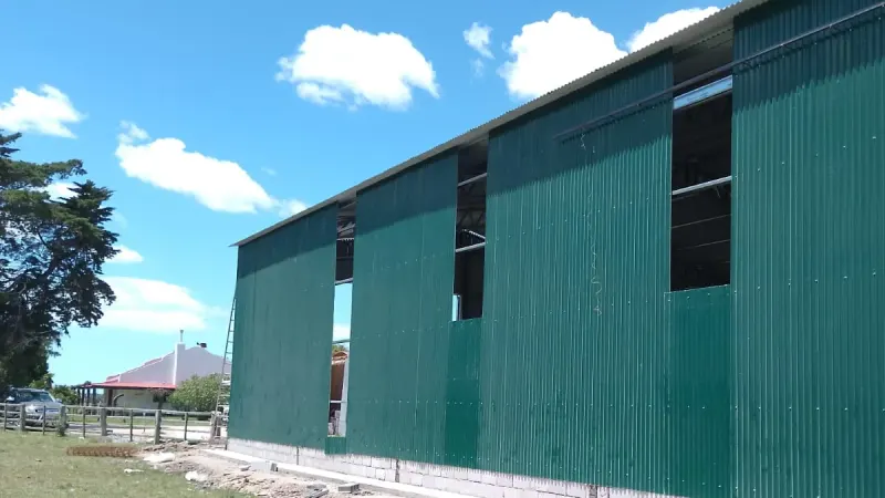 Vista parcial: galpón largo de chapa verde con ventanas altas a lo largo del lateral