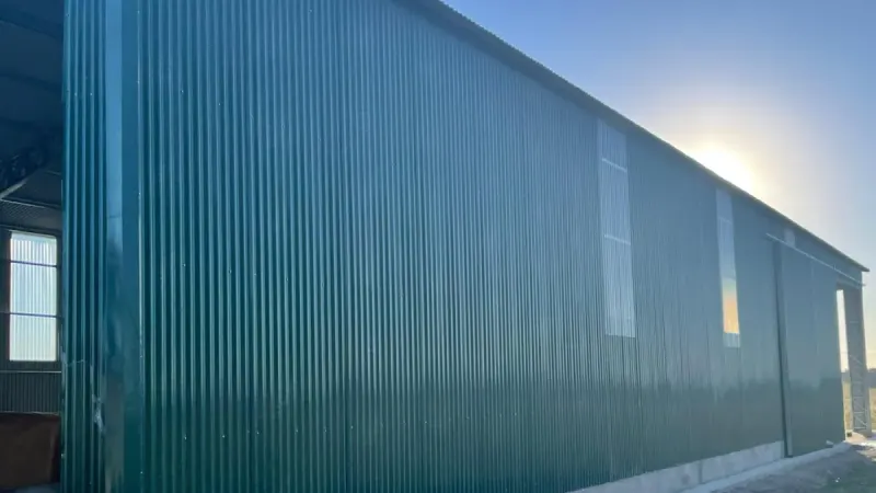 Vista parcial: lateral de galpón de chapa verde apoyado sobre una platea de hormigón